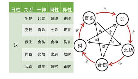 我生為食傷|八字十神代表什么？十神組合對命運有何作用？